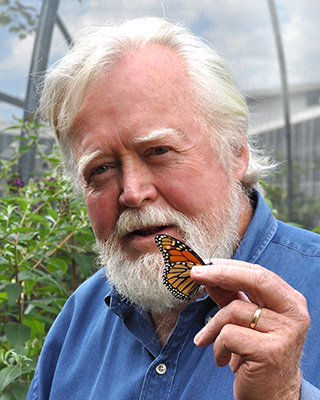 photo of Chip Taylor