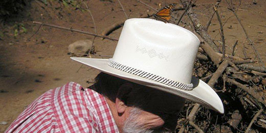 monarch on guide's hat