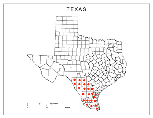 South Texas milkweed map
