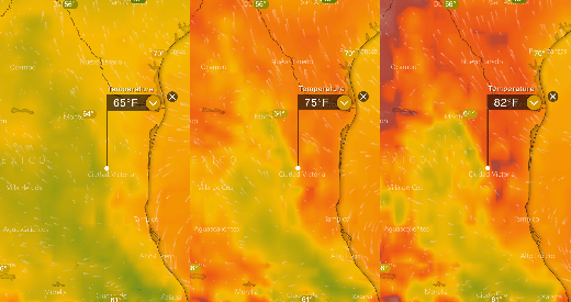 Temperature map