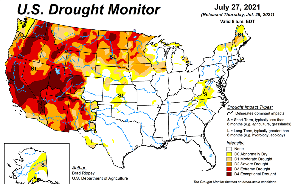 July Drought Monitor graph