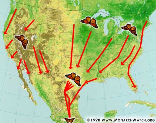 Fall Migration Map