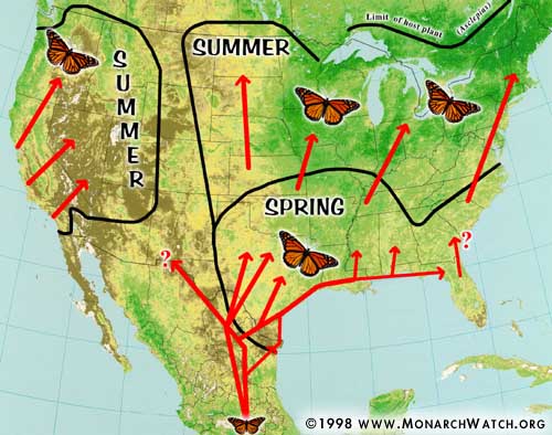 monarch butterfly migration map Monarch Watch Migration Tagging Spring Migration monarch butterfly migration map