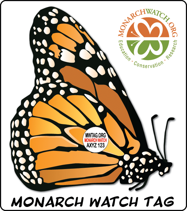 Monarch Watch Tag